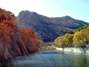 管家婆黑白马报图库，蔡菊